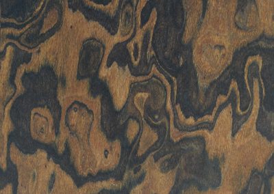 RC Walnut Burr 8FT