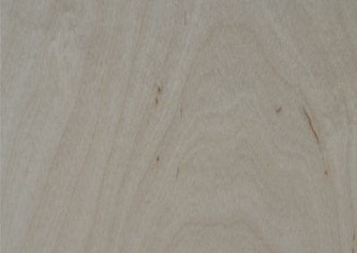 Steamed Birch Silk DSC-1301