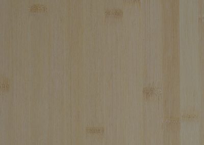 Bamboo Light Plain Cut Silk