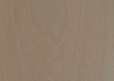 Beech Unfinished