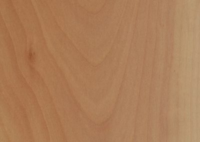 Wild Pear Silk