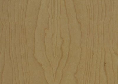 Birch Tan Silk
