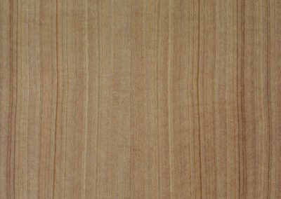 Qtd Anigre Silk