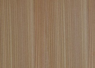 Red Elm Silk