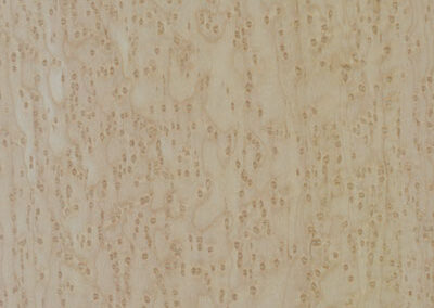Birds Eye Malpe Silk