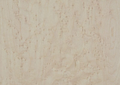 DSC_0279 Birds Eye Maple Unfinished A4 600x400